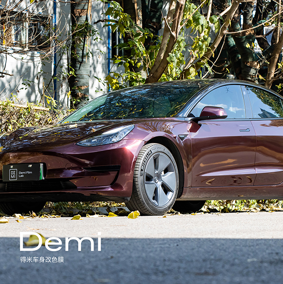 特斯拉Model 3-金属黑玫瑰
