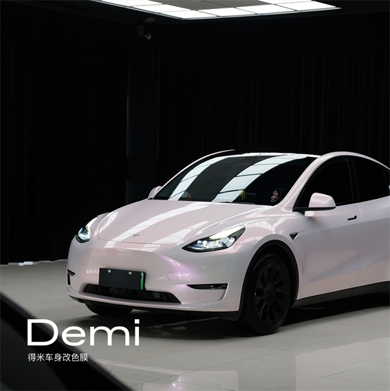 特斯拉ModelY-PET渐变花悦粉