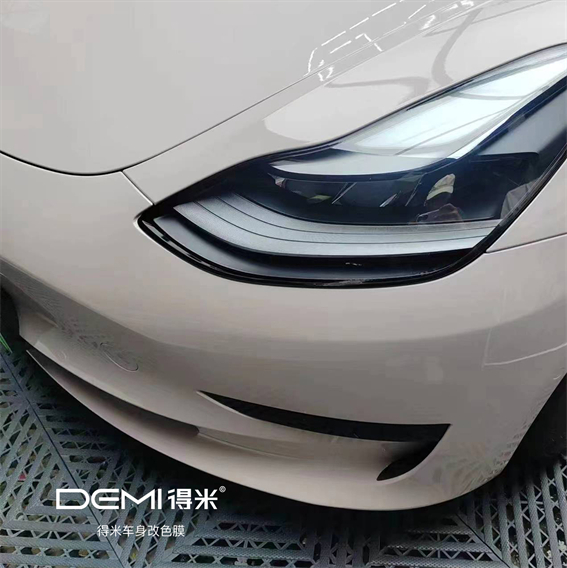 特斯拉Model3-PET镜空粉